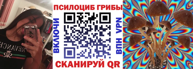 Псилоцибиновые грибы MAGIC MUSHROOMS  Камышлов 